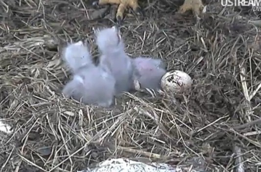 ScreenHunter_06 Mar. 31 11.23.jpg